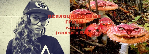 соль ск Сафоново