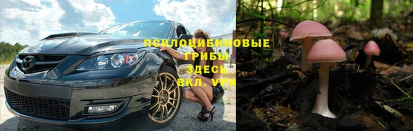 крисы Семилуки