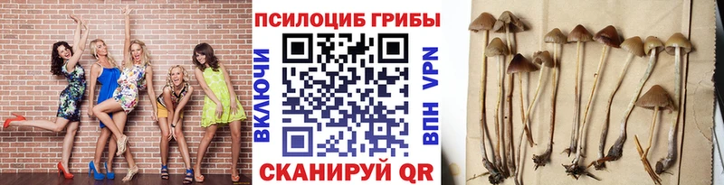 Купить Дивногорск Галлюциногенные грибы ЛСД